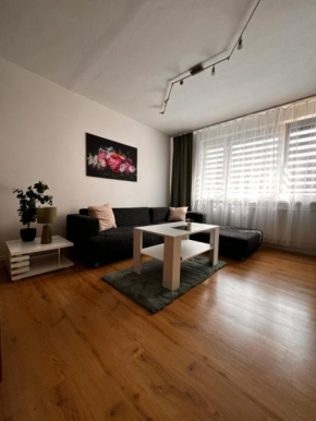 Apartmán širšie centrum KOCKA